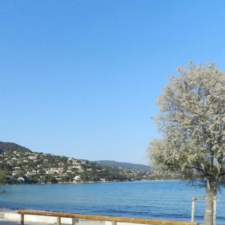 Les Pieds Dans L'eau ! شقة